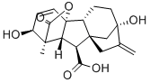 Struktur asam Gibberel